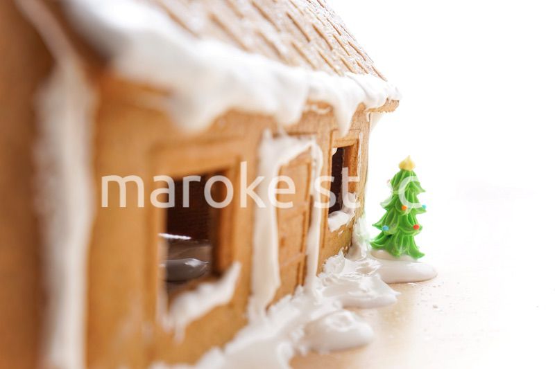 手作りのお菓子の家