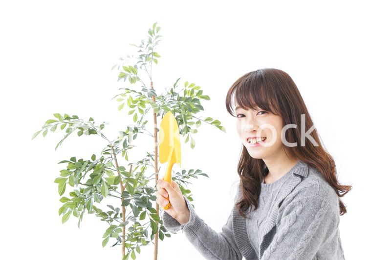 ガーデニングをする女性