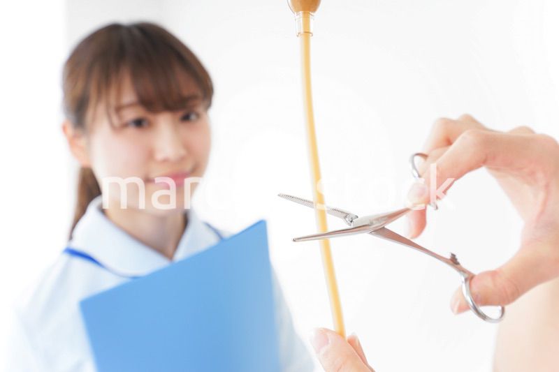 病院で働く若い看護師