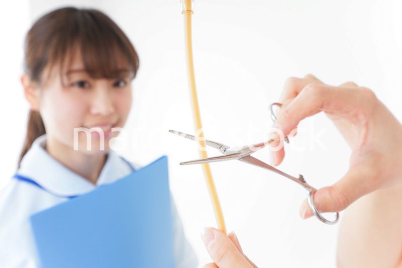 病院で働く若い看護師