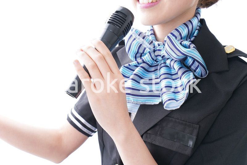 バスガイド・クルー