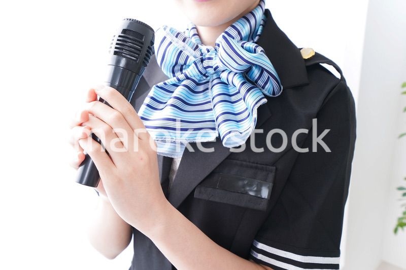 バスガイド・クルー