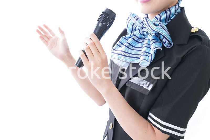 バスガイド・クルー