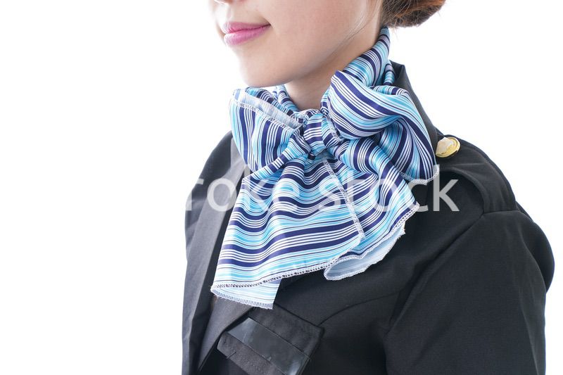 バスガイド・クルー