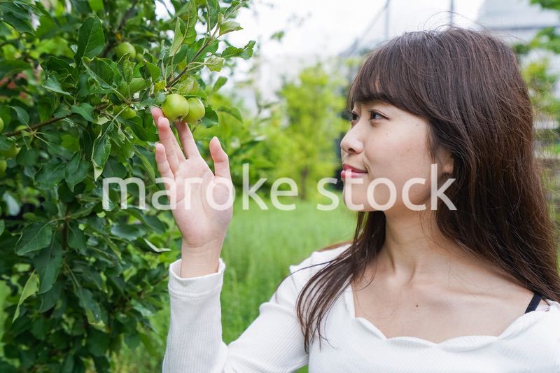 果物狩り・収穫