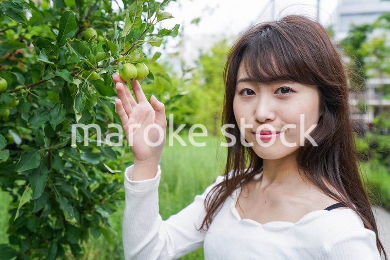 果物狩り・収穫