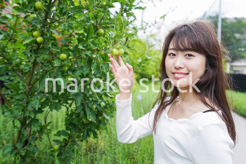 果物狩り・収穫