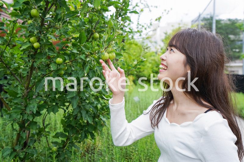 果物狩り・収穫