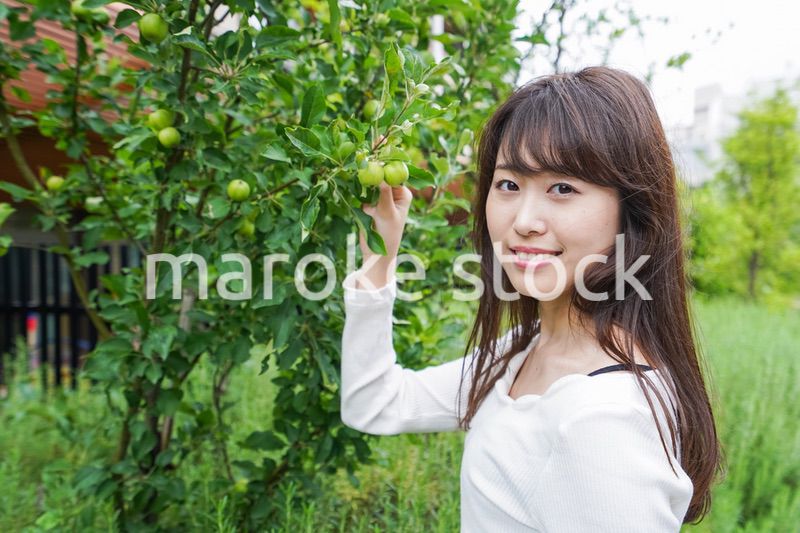 果物狩り・収穫