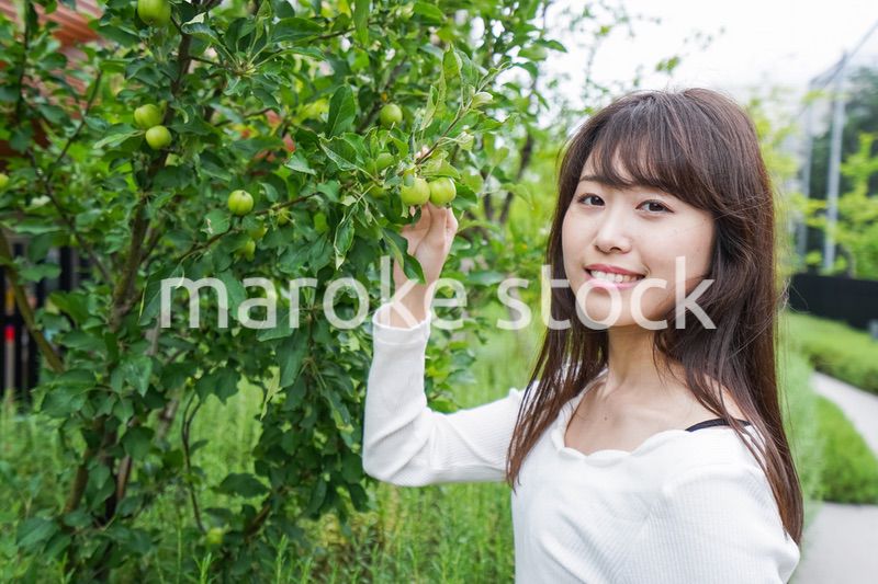 果物狩り・収穫