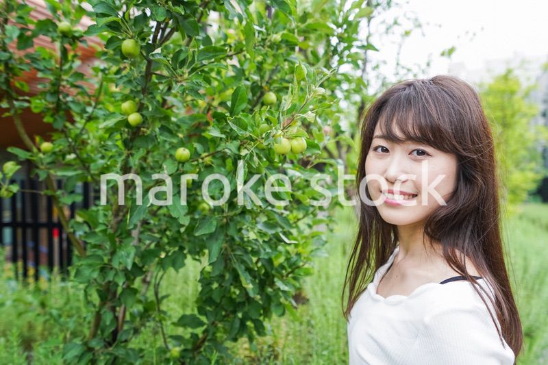 果物狩り・収穫