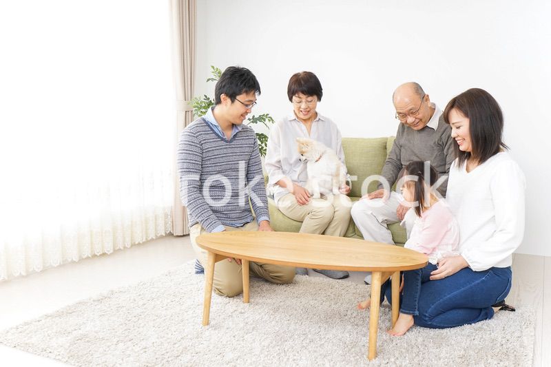 犬の世話をする3世代家族