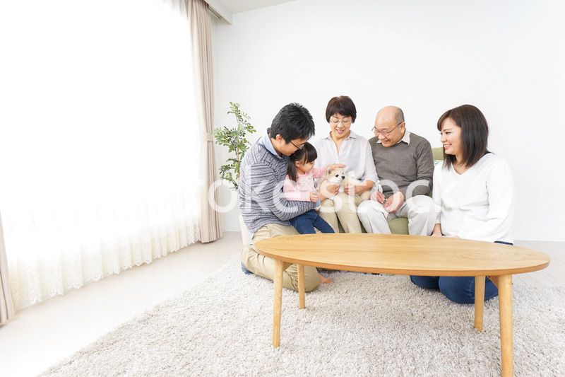 犬の世話をする3世代家族