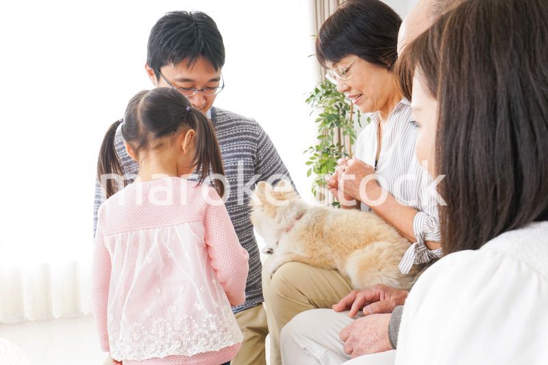 犬の世話をする3世代家族