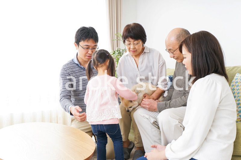 犬の世話をする3世代家族