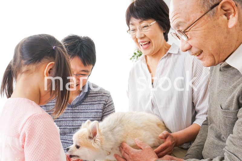 犬の世話をする3世代家族