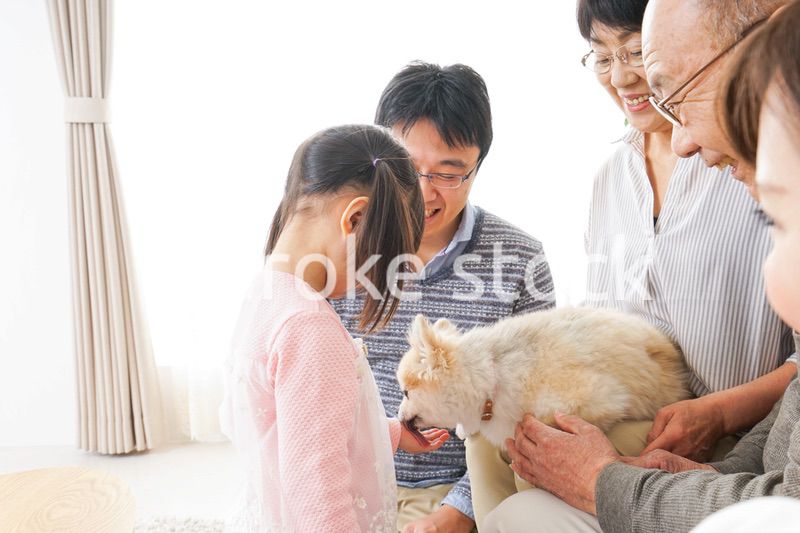 犬の世話をする3世代家族