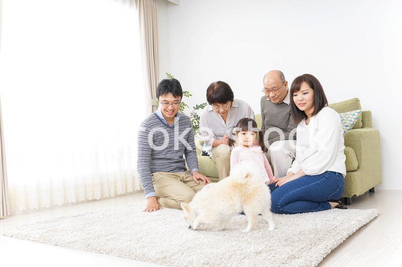 犬の世話をする3世代家族