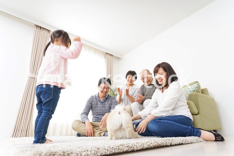 家族で犬と遊ぶ幸せな三世代ファミリー