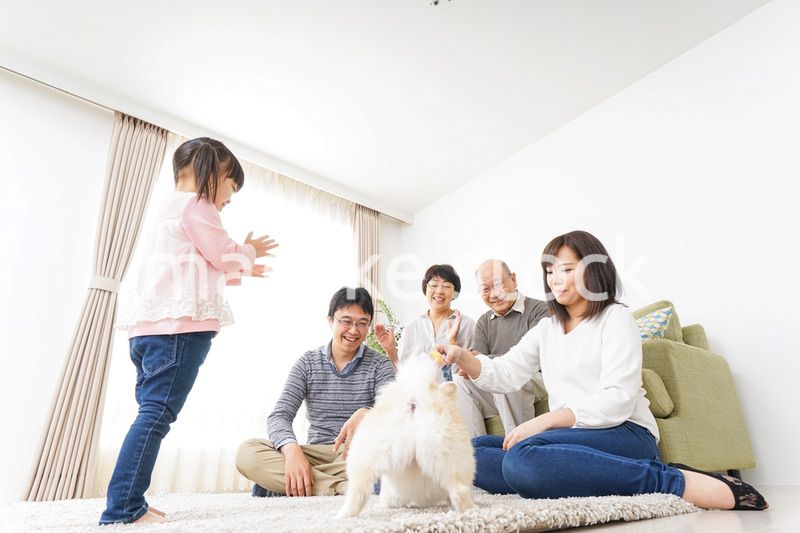 家族で犬と遊ぶ幸せな三世代ファミリー