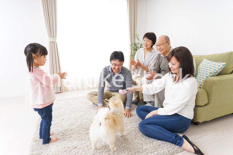 家族で犬と遊ぶ幸せな三世代ファミリー