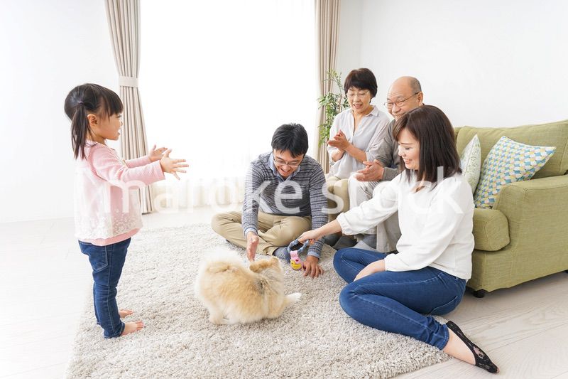 家族で犬と遊ぶ幸せな三世代ファミリー