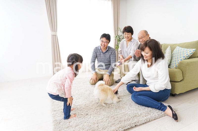 家族で犬と遊ぶ幸せな三世代ファミリー