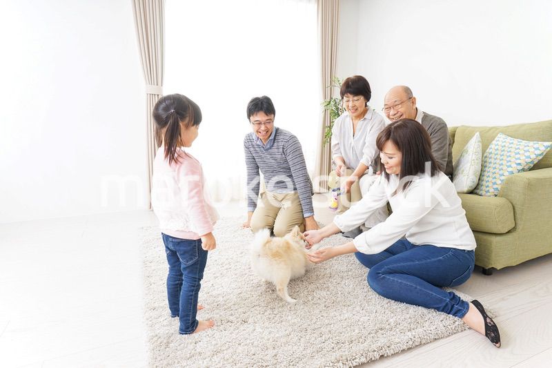 家族で犬と遊ぶ幸せな三世代ファミリー