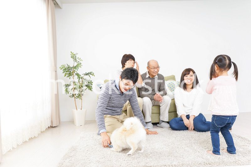 家族で犬と遊ぶ幸せな三世代ファミリー