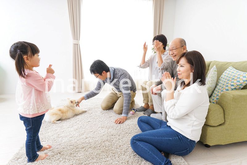 家族で犬と遊ぶ幸せな三世代ファミリー