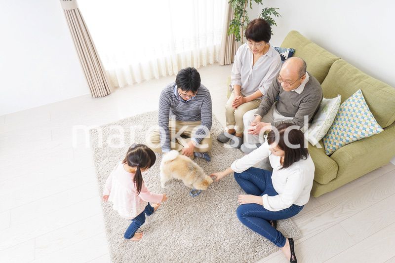 3世代の幸せなファミリー