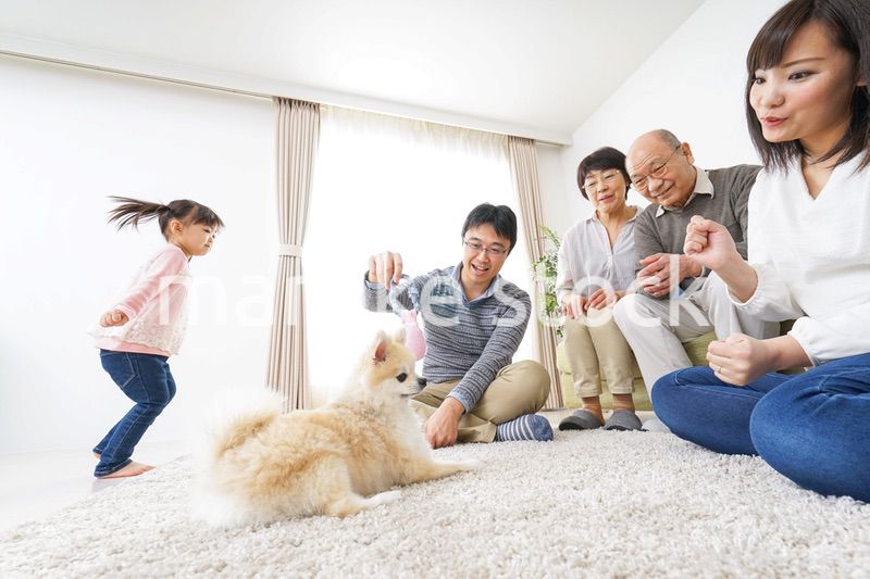 3世代の幸せなファミリー