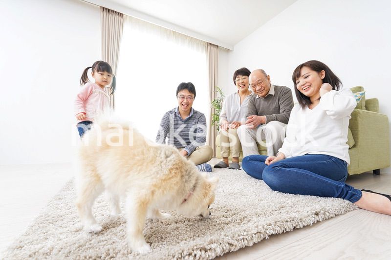 3世代の幸せなファミリー