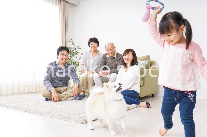 幸せなファミリー