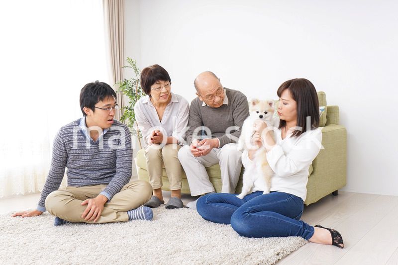 幸せなファミリー