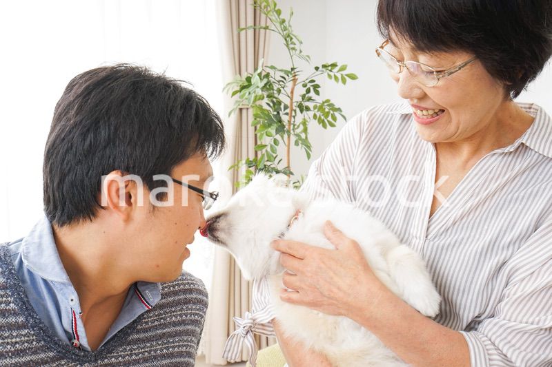 おばあちゃんと息子と犬