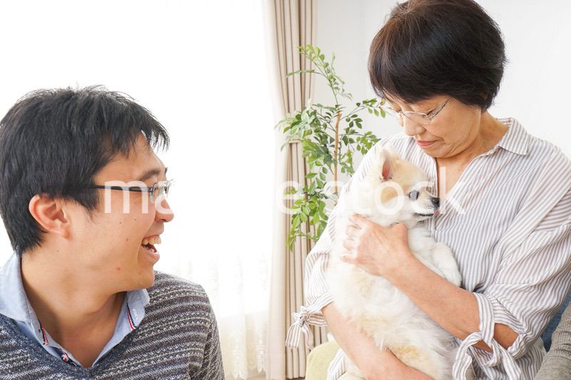 おばあちゃんと息子と犬