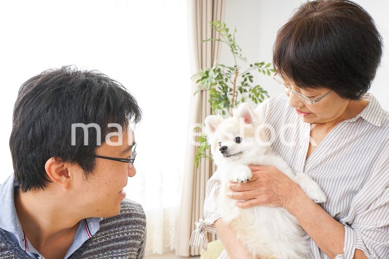 おばあちゃんと息子と犬