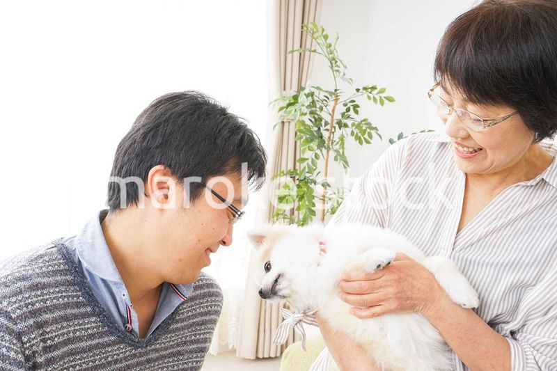 おばあちゃんと息子と犬