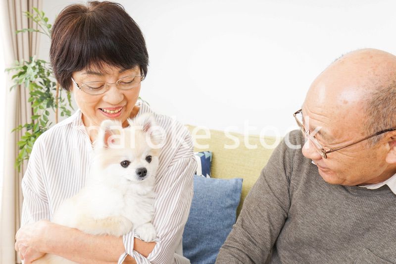 犬を飼うシニア夫婦
