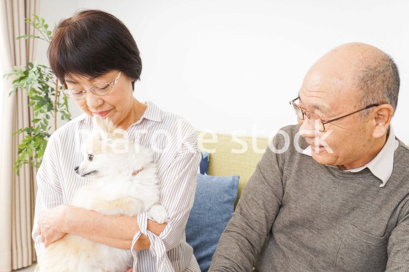 犬を飼うシニア夫婦