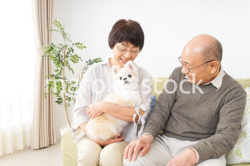 犬を飼うシニア夫婦