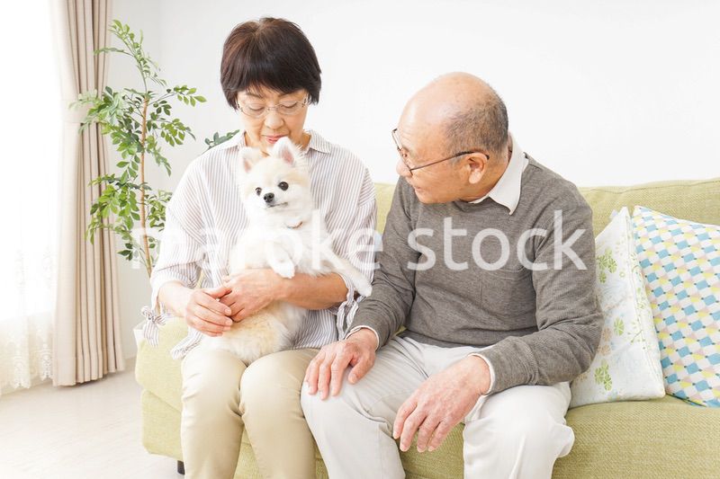 犬を飼うシニア夫婦