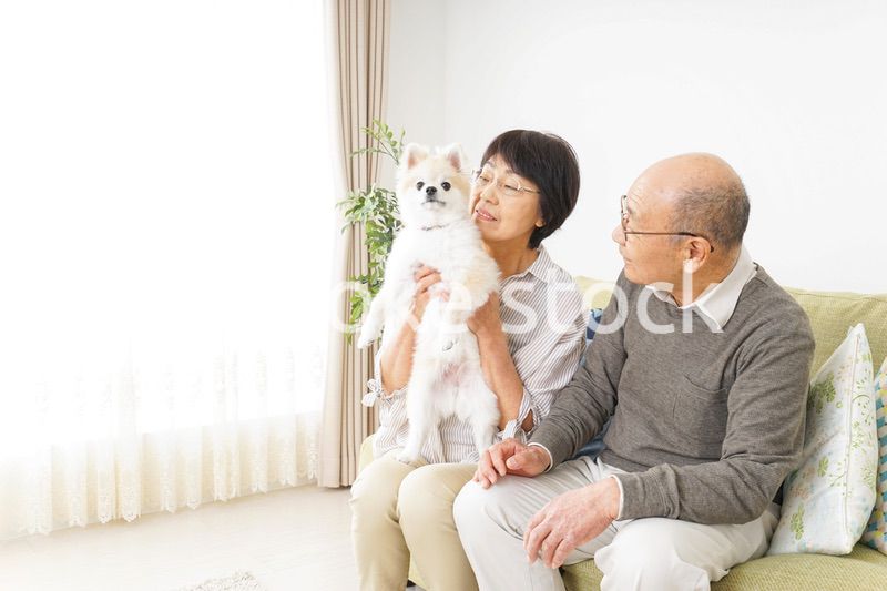 犬を飼うシニア夫婦