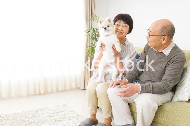 犬を飼うシニア夫婦
