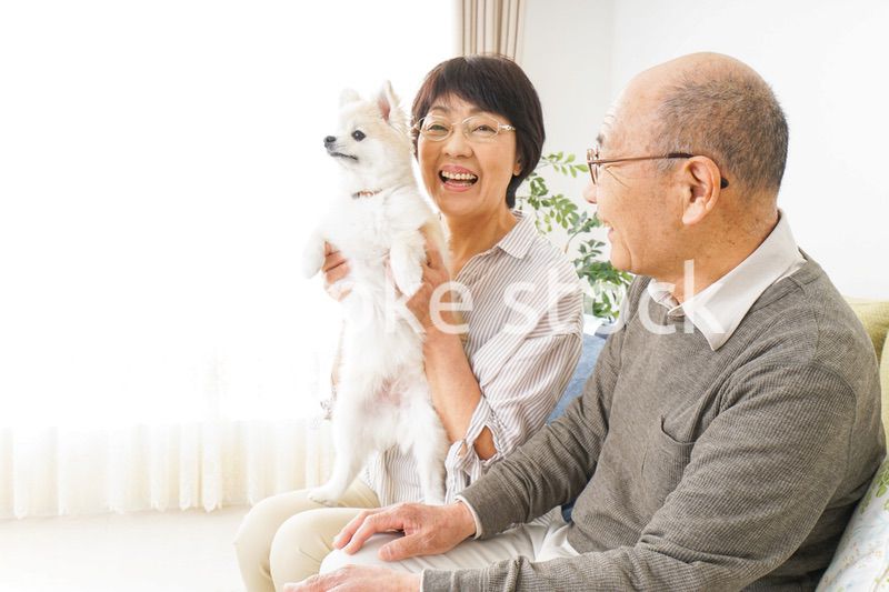 犬を飼うシニア夫婦