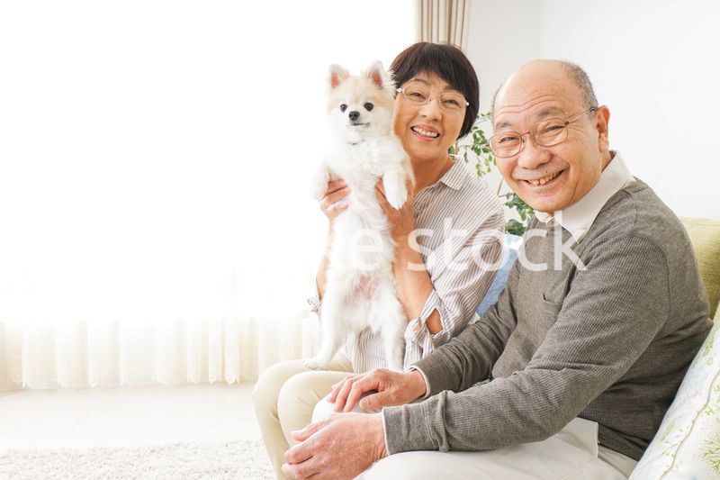 犬を飼うシニア夫婦