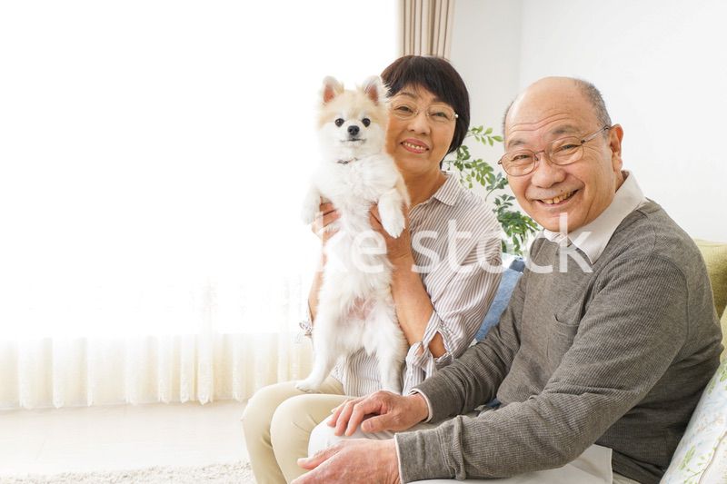 犬を飼うシニア夫婦