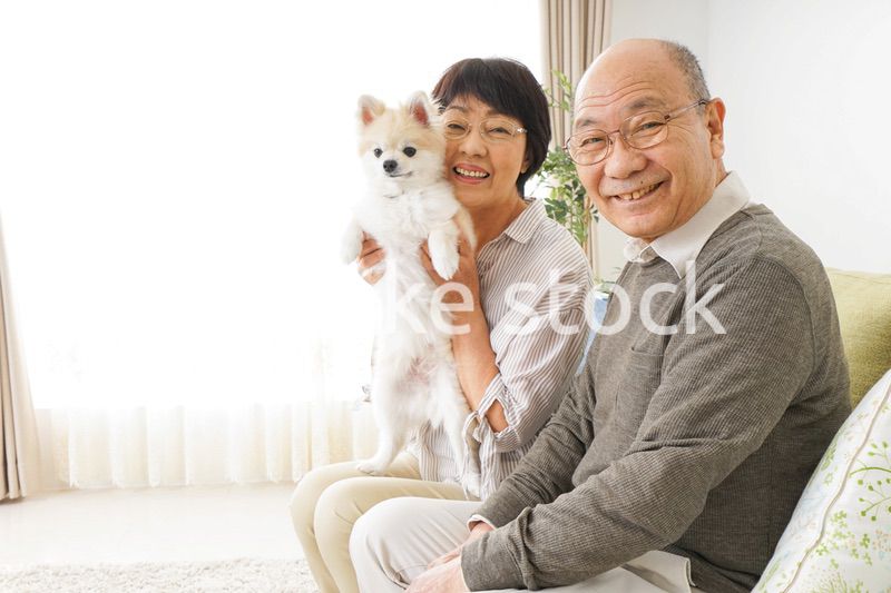 犬を飼うシニア夫婦