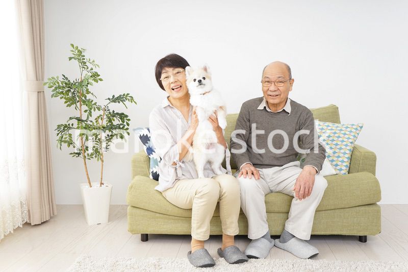 犬を飼うシニア夫婦
